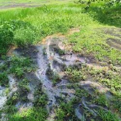 Pitch Lake Visitor Centre - Trinidad