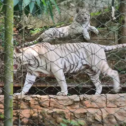 Emperor Valley Zoo (nearby in Port of Spain) - Tunapuna