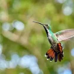 Tunapuna Heritage Trail - Tunapuna