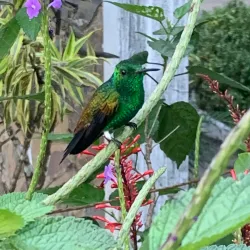 Tunapuna Heritage Trail - Tunapuna