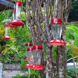 Tunapuna Heritage Trail - Tunapuna