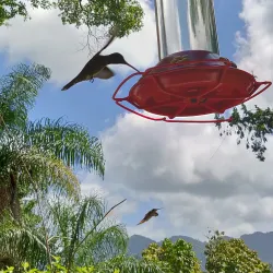 Tunapuna Heritage Trail - Tunapuna