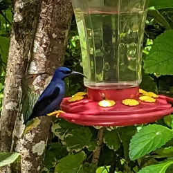 Tunapuna Heritage Trail - Tunapuna