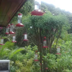 Tunapuna Heritage Trail - Tunapuna