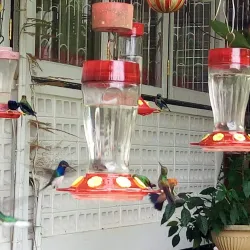 Tunapuna Heritage Trail - Tunapuna