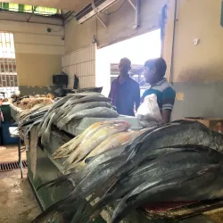 Tunapuna Market - Tunapuna
