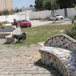 Ariana Park - Aryanah (Ariana)