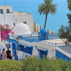 Dar Zarrouk Museum - Aryanah (Ariana)