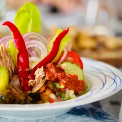 Dar Zarrouk Museum - Aryanah (Ariana)