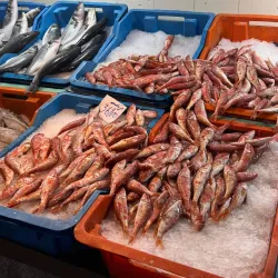 Local Markets of Aryanah - Aryanah (Ariana)