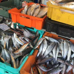 Local Markets of Aryanah - Aryanah (Ariana)