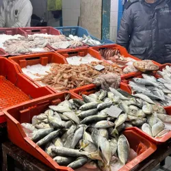 Local Markets of Aryanah - Aryanah (Ariana)