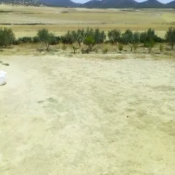 Medina of Aryanah - Aryanah (Ariana)