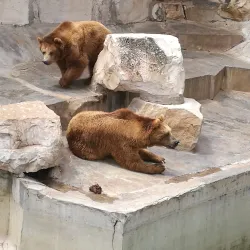 Tunis Zoo - Aryanah (Ariana)