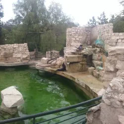 Tunis Zoo - Aryanah (Ariana)