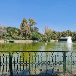 Tunis Zoo - Aryanah (Ariana)