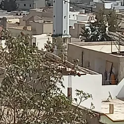 Beja Museum - Beja (Bajah)