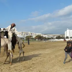 Bizerte Beach - Bizerte