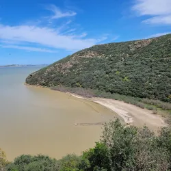 Ichkeul National Park - Bizerte