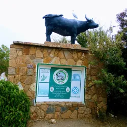 Ichkeul National Park - Bizerte