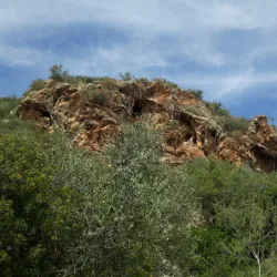 Ichkeul National Park - Bizerte