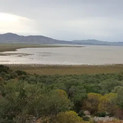 Ichkeul National Park - Bizerte