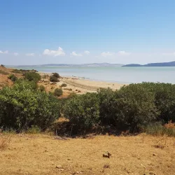 Ichkeul National Park - Bizerte