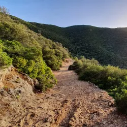 Ichkeul National Park - Bizerte