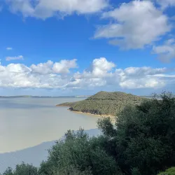 Ichkeul National Park - Bizerte