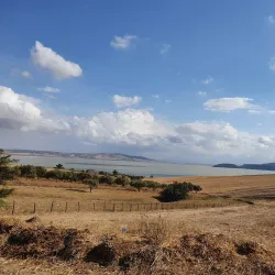 Ichkeul National Park - Bizerte