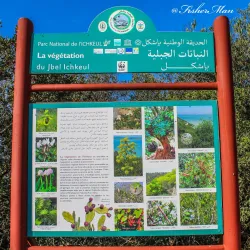 Ichkeul National Park - Bizerte