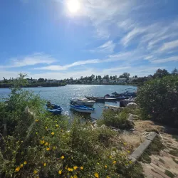 Cothon (Ancient Harbors) - Carthage