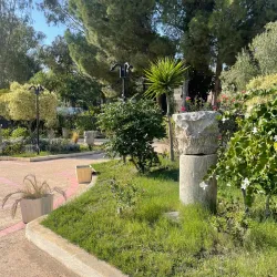 Roman Theatre of Carthage - Carthage