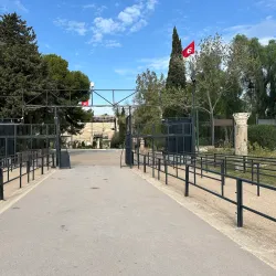 Roman Theatre of Carthage - Carthage
