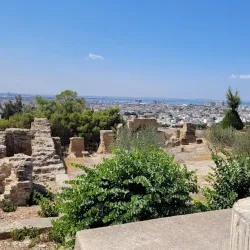 Saint Louis Cathedral (Carthage Cathedral) - Carthage