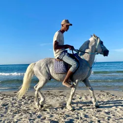 Djerba Beaches (General) - Djerba