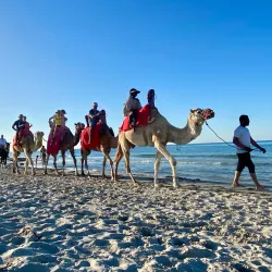 Djerba Beaches (General) - Djerba