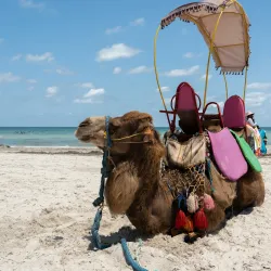 Djerba Beaches (General) - Djerba