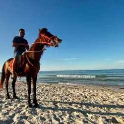 Djerba Beaches (General) - Djerba