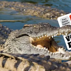 Djerba Explore Park - Djerba