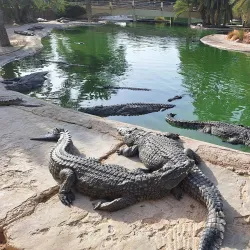 Djerba Explore Park - Djerba