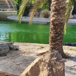 Djerba Explore Park - Djerba