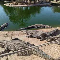 Djerba Explore Park - Djerba