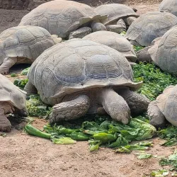 Djerba Explore Park - Djerba