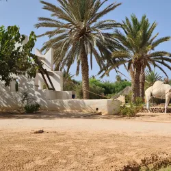 Djerba Explore Park - Djerba