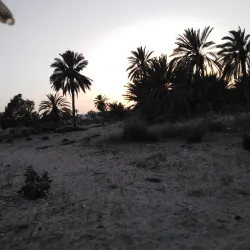 Djerba Golf Club - Djerba