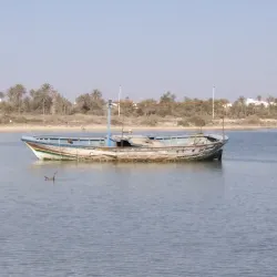 Seguia Beach - Djerba