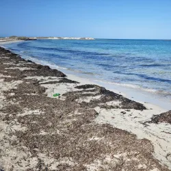 Seguia Beach - Djerba