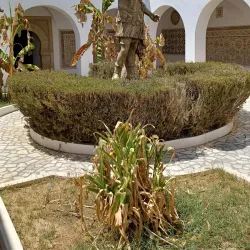 Roman Ruins of Thysdrus - El Djem (Eljem