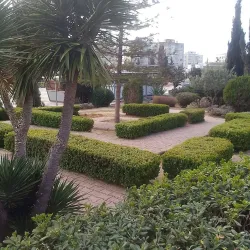 Community Gardens - Ennasr (Ennaser)